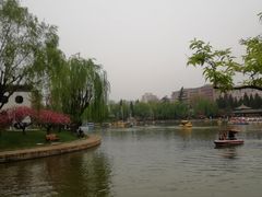 -团结湖公园