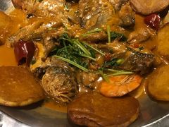-95号酱骨·一块豆腐(展春园西路店)
