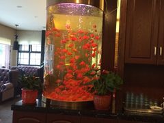 iphone_upload_pic-上島咖啡(安亭店)