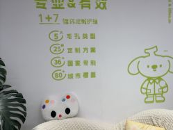 -凡碧诗毛孔清洁收细