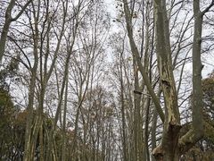 -WeLope紫金山探险公园