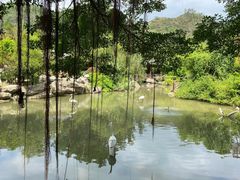 -河源客天下-温泉小镇