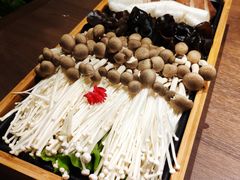 综合养生菌-快乐小羊·内蒙牛羊肉火锅(流花中心店)