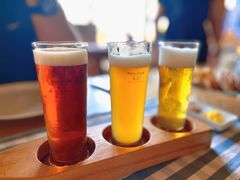 大麦啤酒-Paulaner·德国帕拉娜自酿啤酒餐厅(海上世界店)