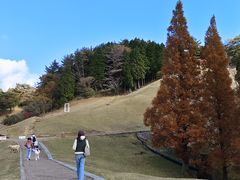 -神户市立六甲山牧场