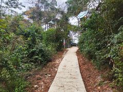 -芦仙山景区-飞越丛林探险乐园