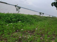 -漕湖湿地公园