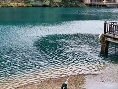 -祁门牯牛降观音堂风景区