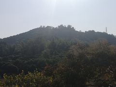 -风云岭森林公园