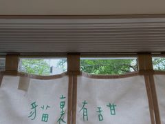 -猫里有甜