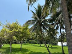 -海南清水湾莱佛士酒店