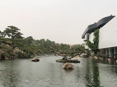 -罗红摄影艺术馆