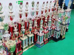 -长春乐奇平衡车儿童体能运动中心