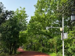 -敬亭山风景名胜区