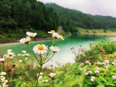 -武陵山森林公园