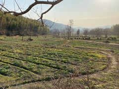 -塔川景区