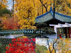 -中山公园