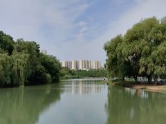 -合肥生态公园
