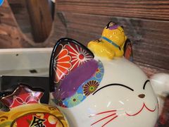 -YOGO优果密室逃脱(新佳丽广场店)