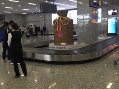 -张家界荷花国际机场航站楼-国内出发