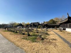 -扬州大运河文化旅游度假区·盆景园