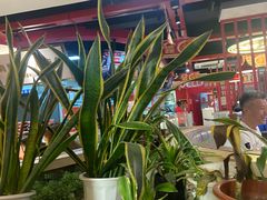 -蜀滋香鲜鱼美蛙火锅(339店)