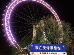 -天津之眼摩天轮