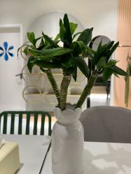 -水沐莲清瑜伽·普拉提