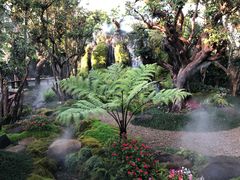 -Chom Cafe and Restaurant