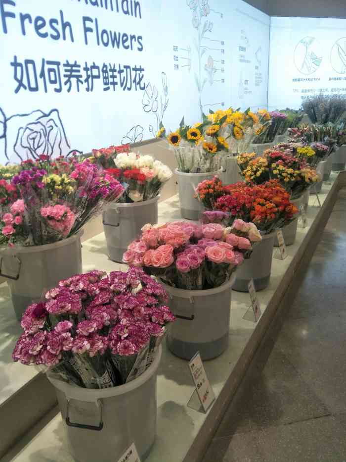 鹿岛园艺(朝天门来福士店)-"相信只要是女孩子都会喜欢花花草草的地方