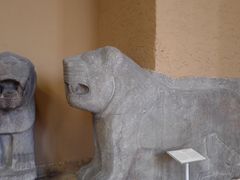 -佩加蒙博物馆