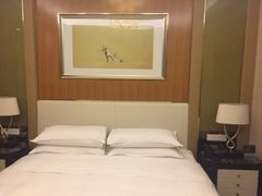 -常州武进九洲喜来登酒店