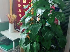 -自然之声助听器·呼吸机(和平店)