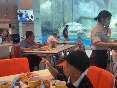 -帝企鹅自助餐厅•儿童岛•真企鹅(长隆企鹅酒店)