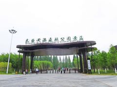 -黄海国家森林公园