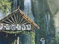 -西双版纳原始森林公园
