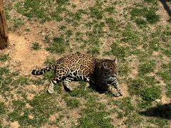 -西霞口神雕山野生动物世界
