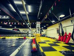 -鲨石格斗联盟(双井店)