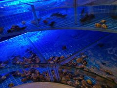 -天宇菲尔德·花园西餐厅·海鲜自助餐