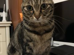 -惠王陵(地铁站)