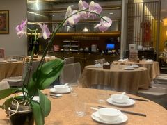 -安乐茶饭·手工素菜·高空景观餐厅(千灯湖店)