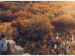 -金塔沙漠胡杨林景区