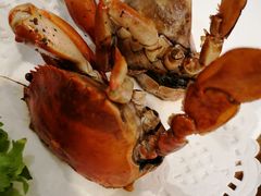 -友强·23年特色海鲜大排档(厦门店)