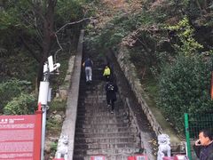 -嵩山少林文化旅游景区