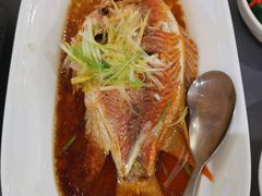 清蒸东星斑-徐记海鲜(大雁塔|金都店)