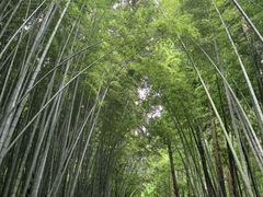 -同里国家湿地公园