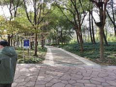公园内-蠡湖大桥公园