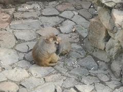 -西安秦岭野生动物园