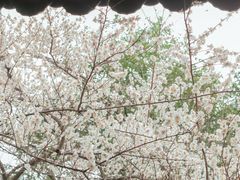 -钱王祠