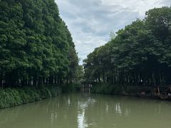 -乌镇东栅景区